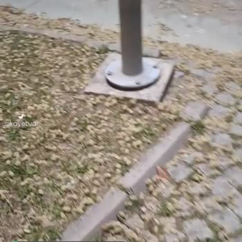 Ankara Büyükşehir Belediyesi Harikalar Diyarını Mahvetti!