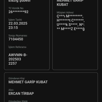 Yatırım Yapılan Bakiye Hesaba Geçmedi