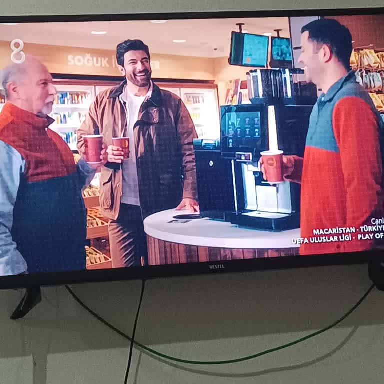 Vestel Televizyon Ekranında Kırmızı Kare Sorunu