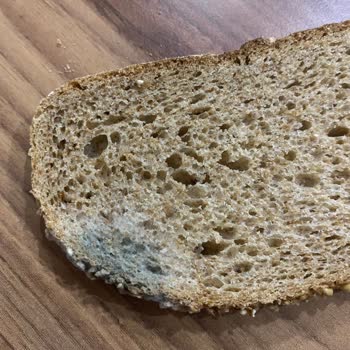 Tarihi Geçmiş Ve Küflenmiş Ekmek Şikayeti