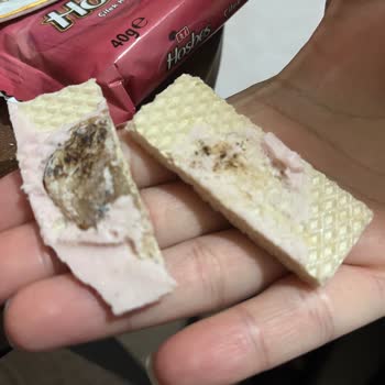 Hoşbeş Gofretin İçinden Çıkan Sert Madde Şaşkınlık Yarattı