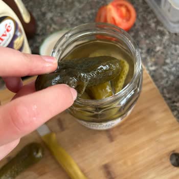 A101'den Aldığım Bozuk Turşular Ve İlgisiz Çalışanlar