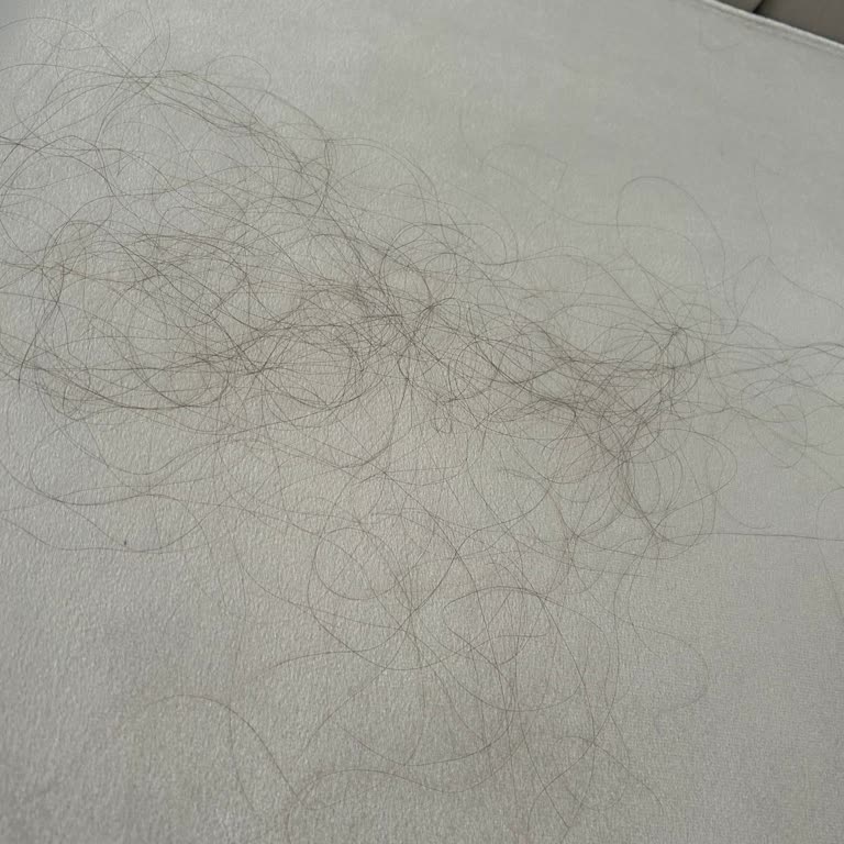 Urbancare Şampuan Ve Toniği Saç Dökülmesini Artırıyor