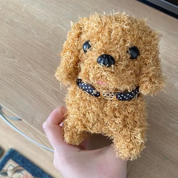 Yanıltıcı Ürün Ve İletişimsiz Satıcı Deneyimi