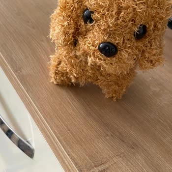 Yanıltıcı Ürün Ve İletişimsiz Satıcı Deneyimi