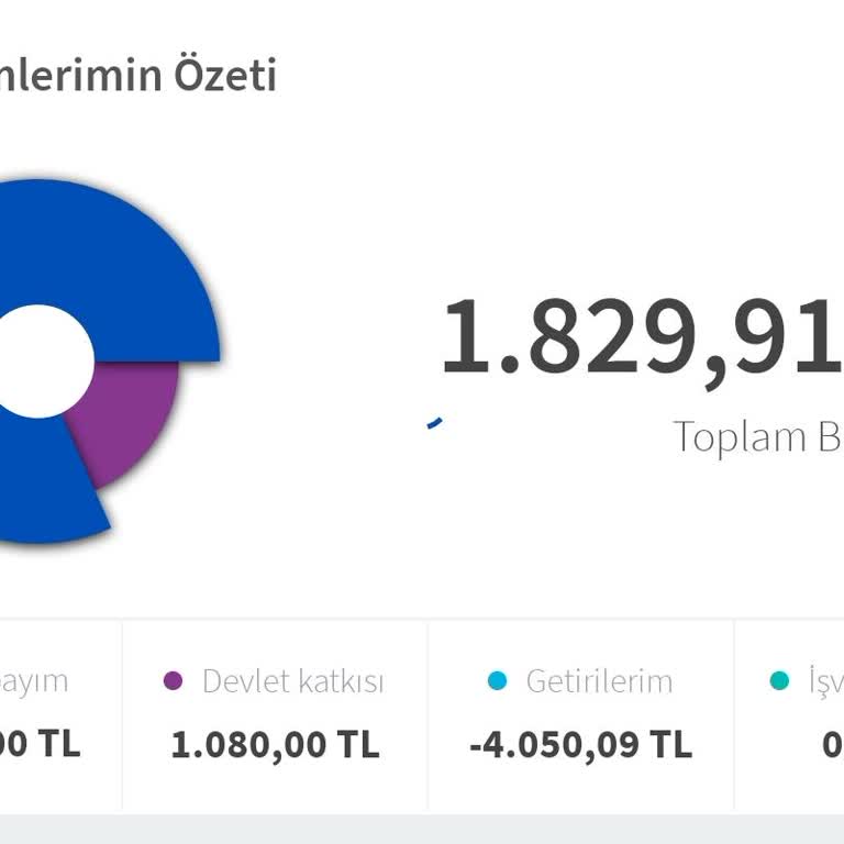 Yatırım Sisteminde Karşılaşılan Beklenmedik Kesintiler