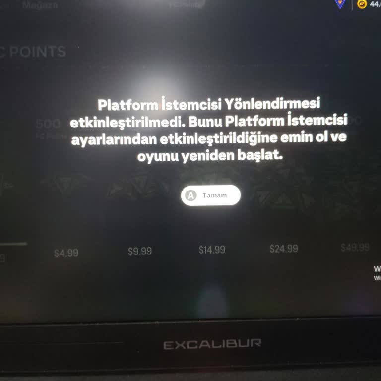 FIFA Point Satın Alma Sorunu Ve Destek Talebi