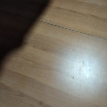 Betnow Güvenilmez Bahis Sitesi Deneyimi