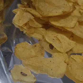 Cipste Böcek Şoku: Sağlığımız Tehlikede!