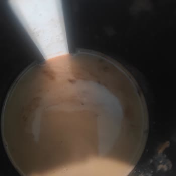 Osso Osmanlı Kahvesi Şikayeti