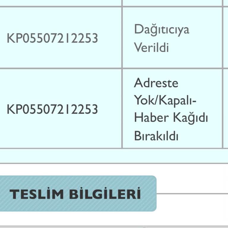 PTT Kargo Adres Doğrulama Ve Teslimat Sorunu