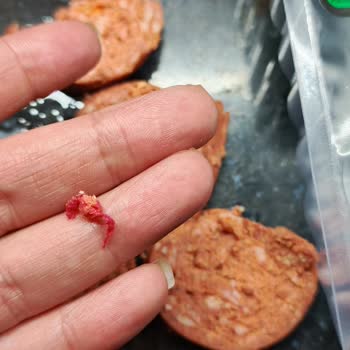 Torku Sucukta Şok: İp Parçası Ve Hamur Gibi Yapı!