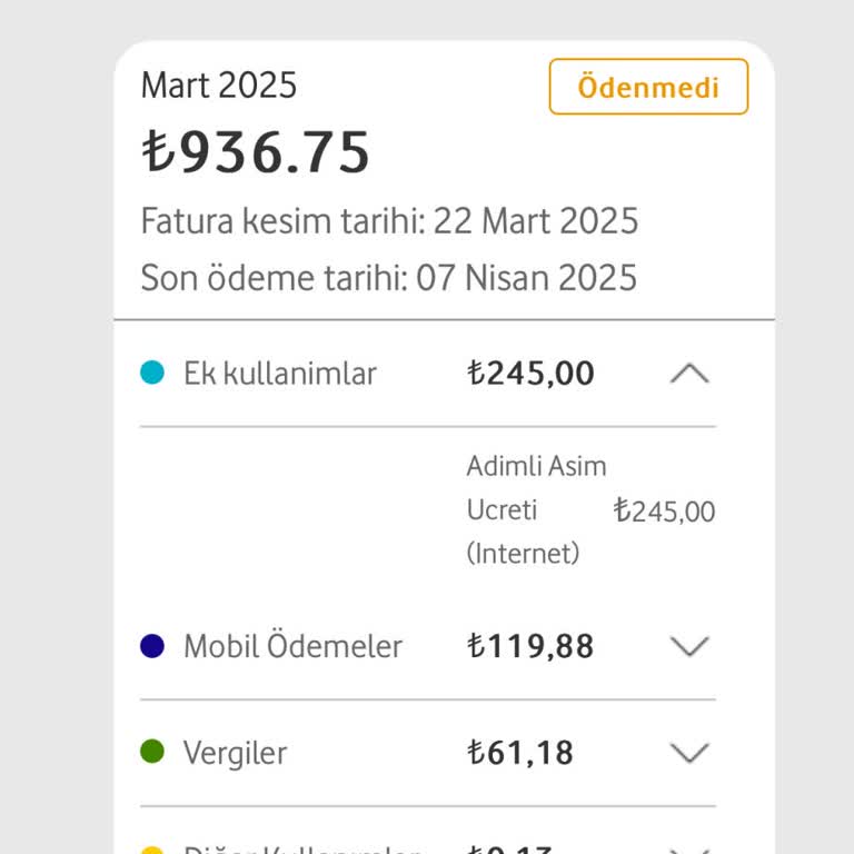 Otomatik Aşım Ücreti Şoku: 245 TL Fatura Sürprizi