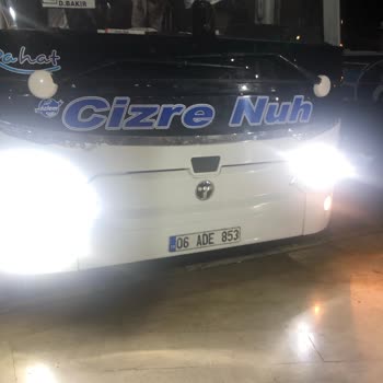 Özlem Cizre Nuh İle Zaman Kaybı Ve Mağduriyet