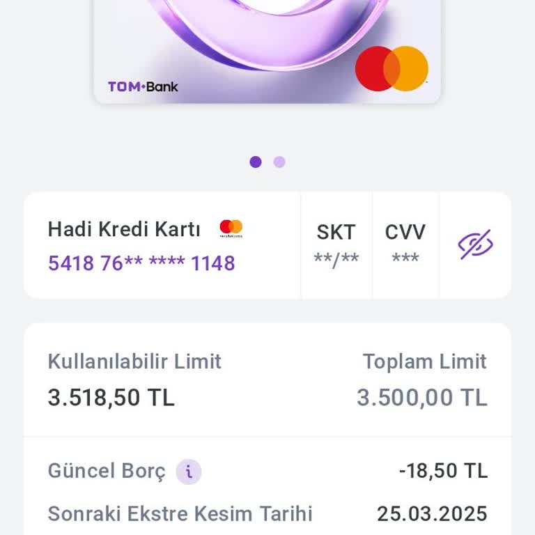 Hadi Uygulamasında Kart Borcu Ödeme Sorunu: Tutar Artışı
