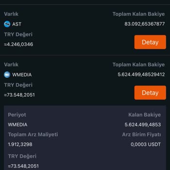 Bitci Platformunda Para Çekme Ve Listelenmeyen Coin Sorunu