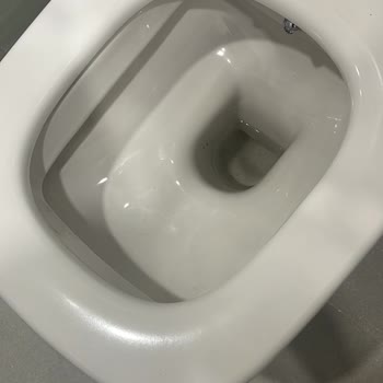 Yetersiz Temizlik Ve Müşteri Memnuniyetsizliği