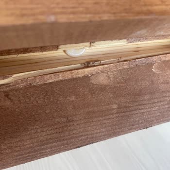 Taşpınar'dan Alınan Bahçe Mobilyasında Teslimat Ve Servis Sorunları