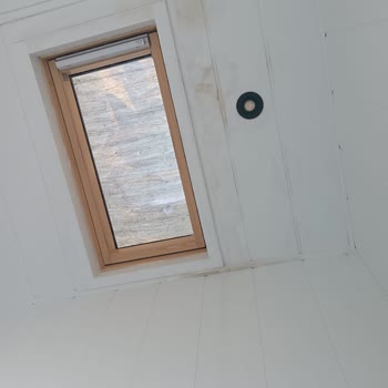 Minimalist Hayallerin Kabusa Dönüşü: Wlifehouse İle Yaşanan Hayal Kırıklığı