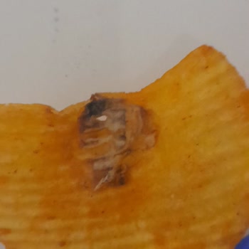 Ruffles Ketçaplı Cipsin İçinden Çıkan Gizemli Madde