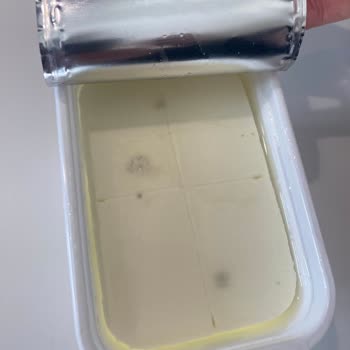 Dost Süzme Peynirinde Tekrarlayan Küf Sorunu