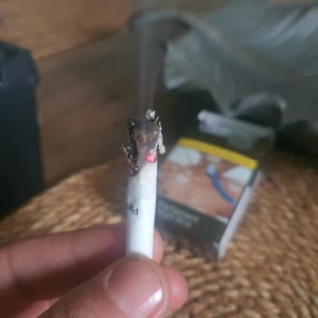 Parliament Night Blue'da Kalite Sorunu: Tahta Parçaları Ve Boğaz Yanması