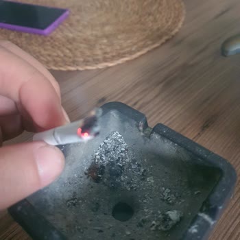 Parliament Night Blue'da Kalite Sorunu: Tahta Parçaları Ve Boğaz Yanması