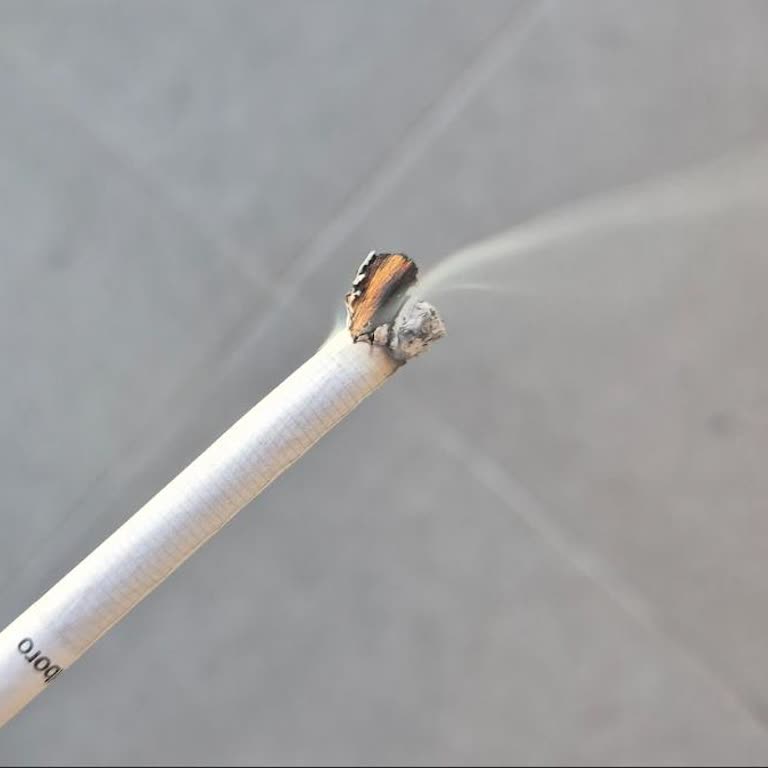 Marlboro'da Kalite Düşüşü: Tütün Yerine Odun