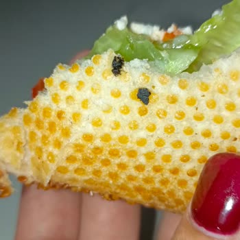 Severek Aldığım Ekmeğin İçinden Böcek Çıktı