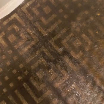 Sompo Sigorta İle Yaşanan Tesisat Sorunu Ve Çözüm Eksikliği