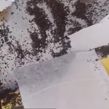 Lipton Label Bardak Çay Patlak Çıktı