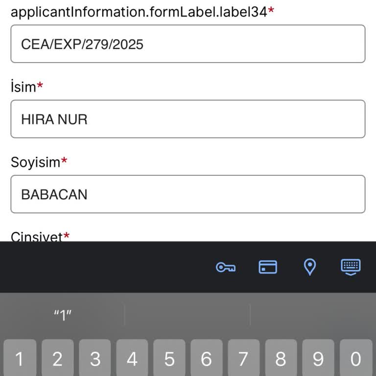 VFS Global'da Aile Birleşimi Vizesi Sorunu