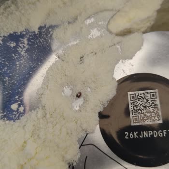 Bebek Mamasında Böcek Şoku: Aptamil Güvencesi Sorgulanıyor