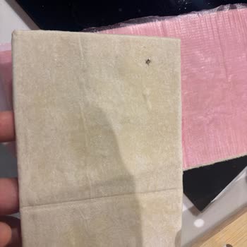 Milföy Hamurunda Böcek Şoku