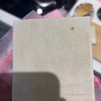 Milföy Hamurunda Böcek Şoku