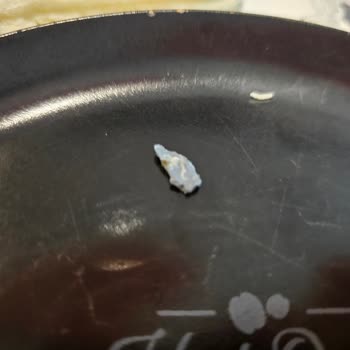 MR. No (Misterno) Markalı Sandviçten Çıkan Metal Parça Şoku