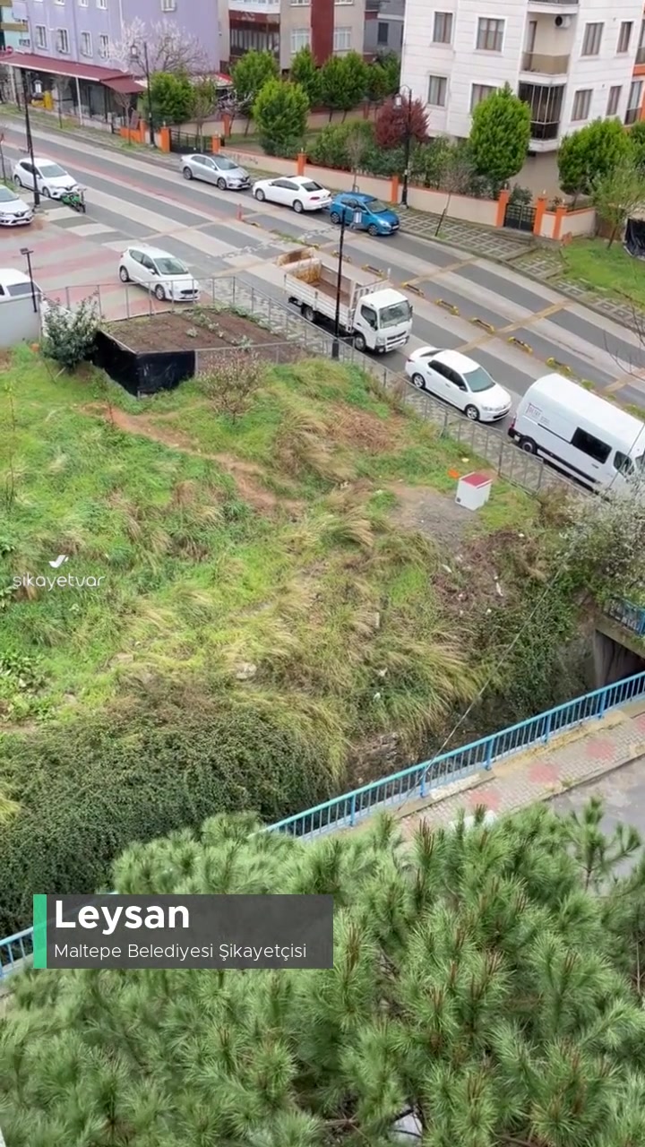 Maltepe Belediyesi Başıboş Köpeklerin Saldırması Ve Havlaması videonun kapak resmi