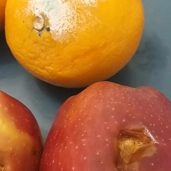 Çöpten Alıp Poşete Koyup Bize Mi Sattın Migros?