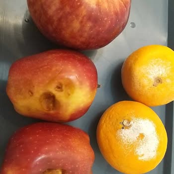 Çöpten Alıp Poşete Koyup Bize Mi Sattın Migros?