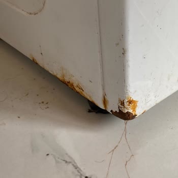 Arçelik Çamaşır Makinesi Pas Sorunu Ve Servis Yetersizliği