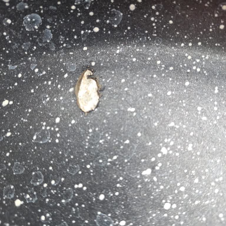 Korkmaz Mutfak Eşyaları Pilav Tenceresi Sağlık Riski Taşıyor