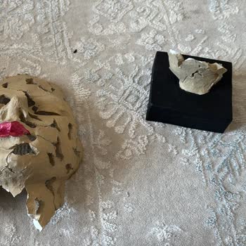 Hepsijet İle Kargo Sorunları: Kırık Ürünler Ve Ulaşılmaz Müşteri Hizmetleri