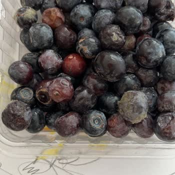 Küflü Ürünlerle Mağduriyet: Acil Çözüm Bekliyorum!