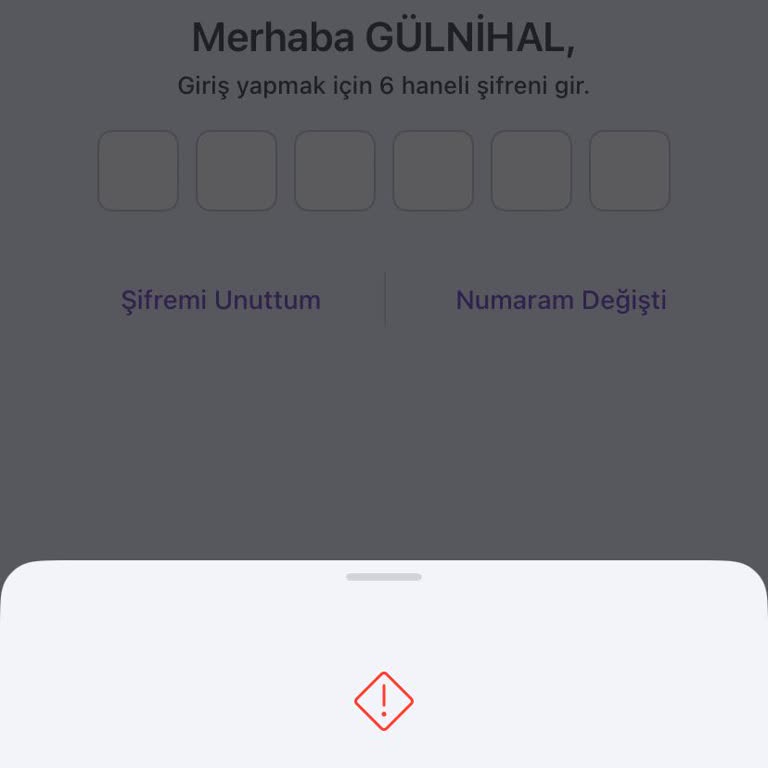 Hesabıma Erişim Engeli Ve Bilgilendirme Eksikliği