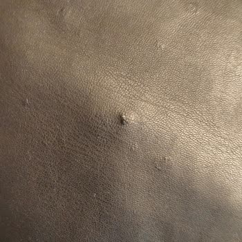 DeFacto Deri Ceket Hayal Kırıklığı: Kalitesiz Ürün Sorunu