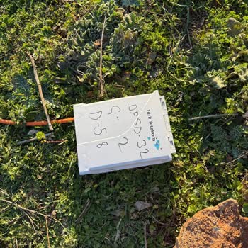 Arsa Üzerindeki Direklerin Yanlış Konumlandırılması