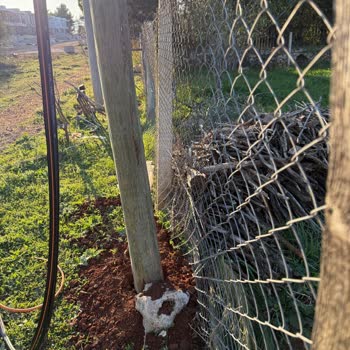 Arsa Üzerindeki Direklerin Yanlış Konumlandırılması