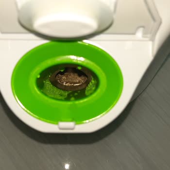 Buharlı Pişiricide Pas Şoku: Bebek Ürünü Güvenliği Tehlikede