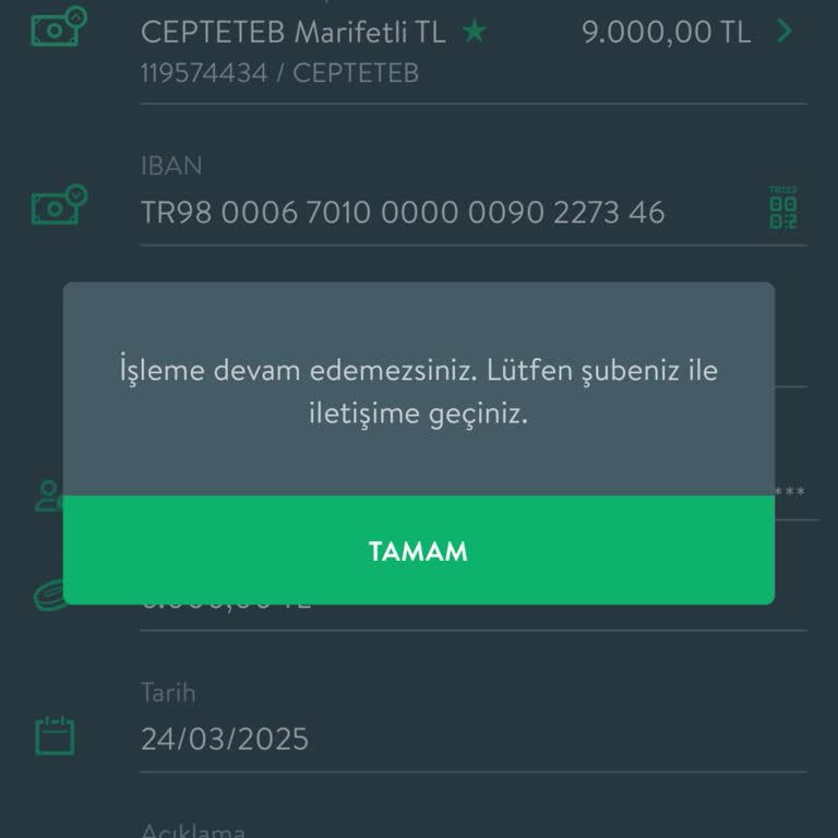 Havale İşlemlerinde Yaşanan Sorunlar Ve Müşteri Hizmetleri Yanıtları