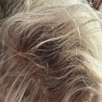 Kuaför Kabusu: Saçlarım Yandı Ve Su Yoktu!